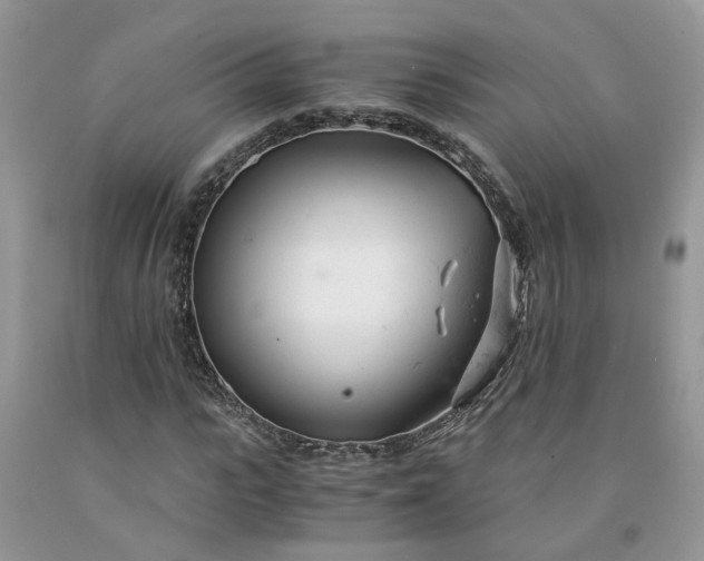 X0000091660919200709061017