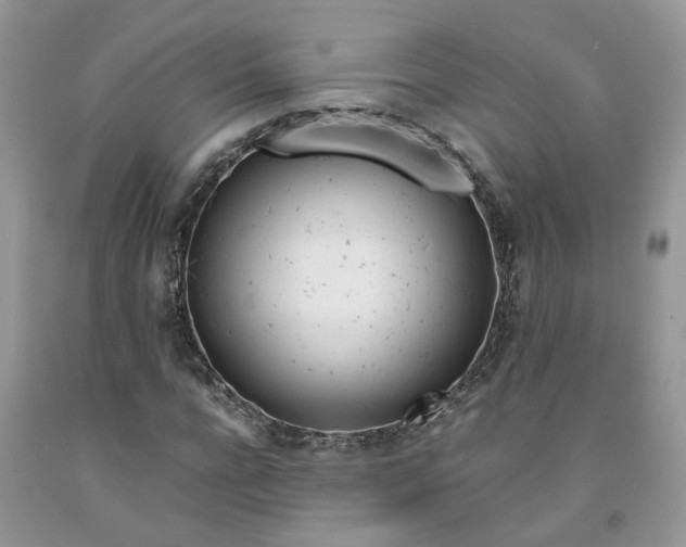 X0000091660920200709061017