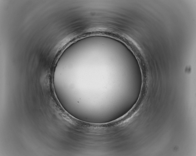 X0000091660921200709061017