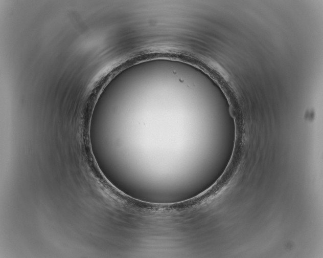 X0000091660922200709061017