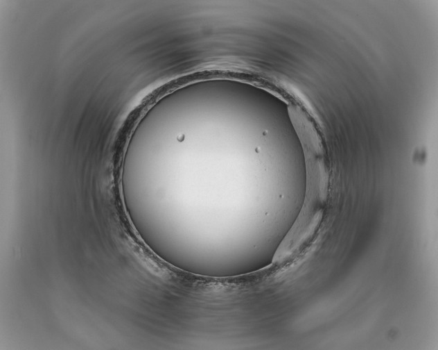 X0000091660923200709061017