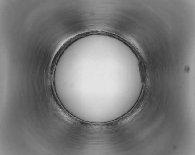 X0000091660924200709061017