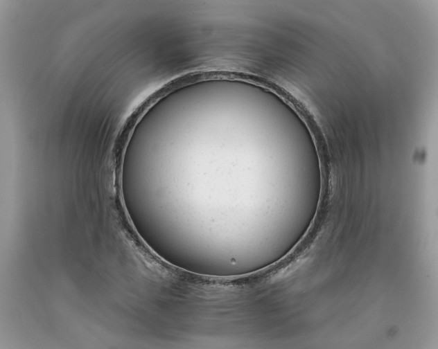 X0000091660925200709061017