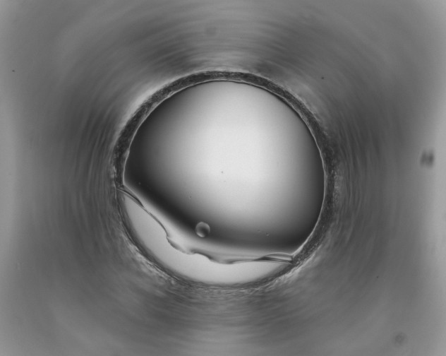 X0000091660926200709061017