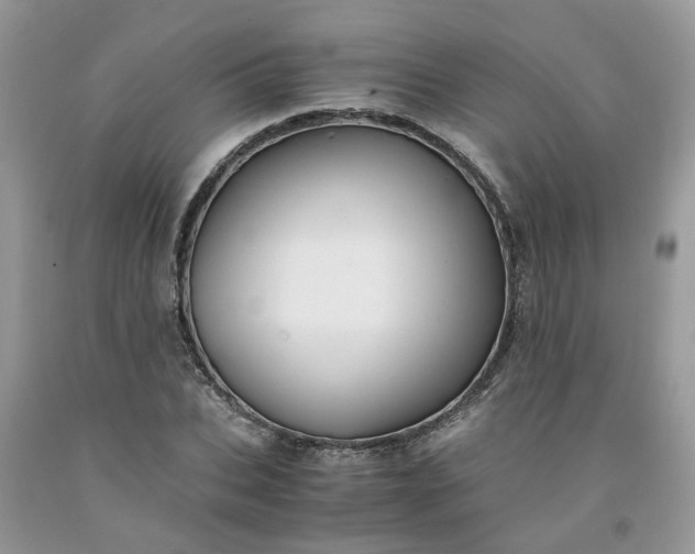 X0000091660927200709061017