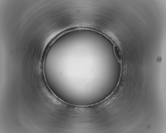 X0000091660928200709061017