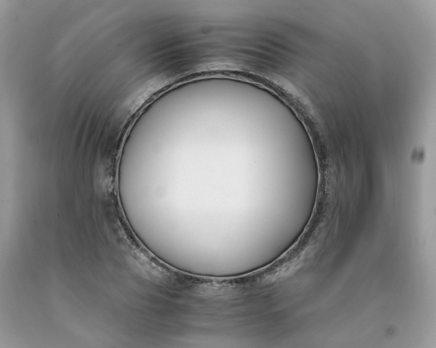 X0000091660929200709061017