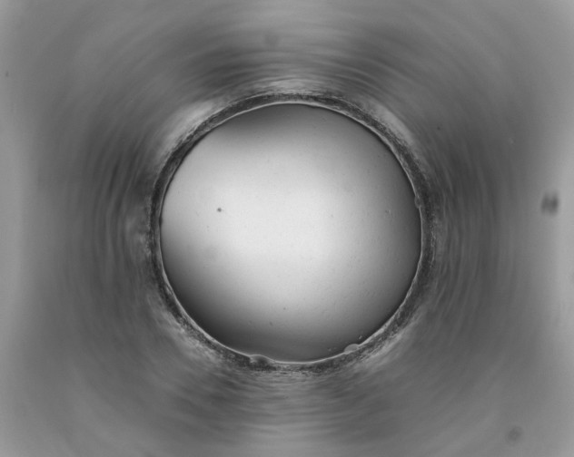 X0000091660930200709061017