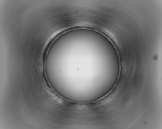 X0000091660931200709061017