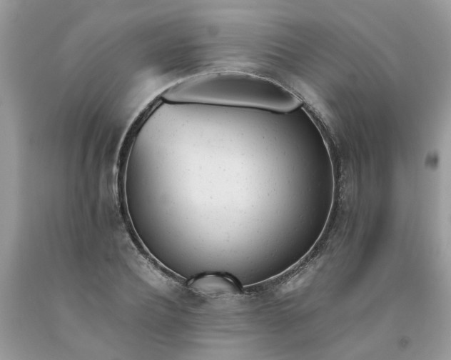 X0000091660932200709061017