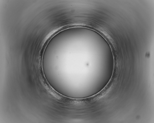 X0000091660933200709061017