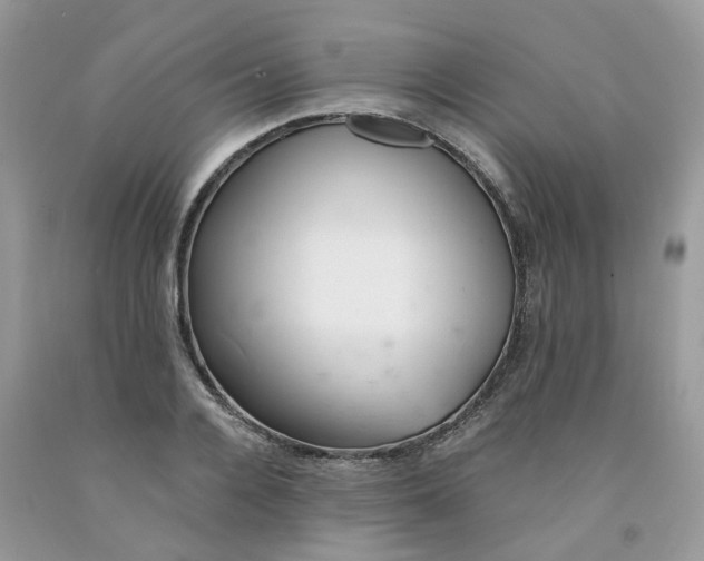 X0000091660936200709061017