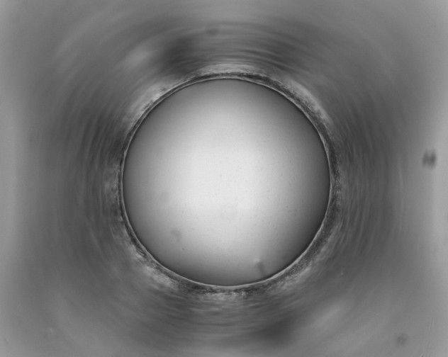 X0000091660937200709061017