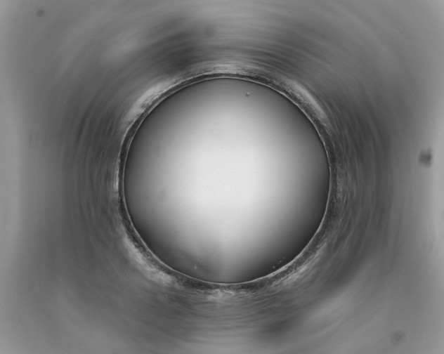 X0000091660938200709061017