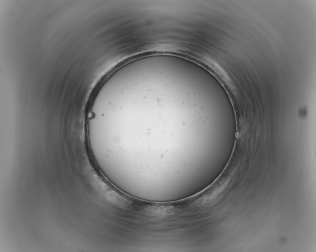 X0000091660939200709061017