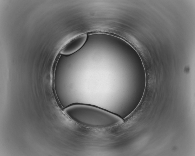 X0000091660940200709061017