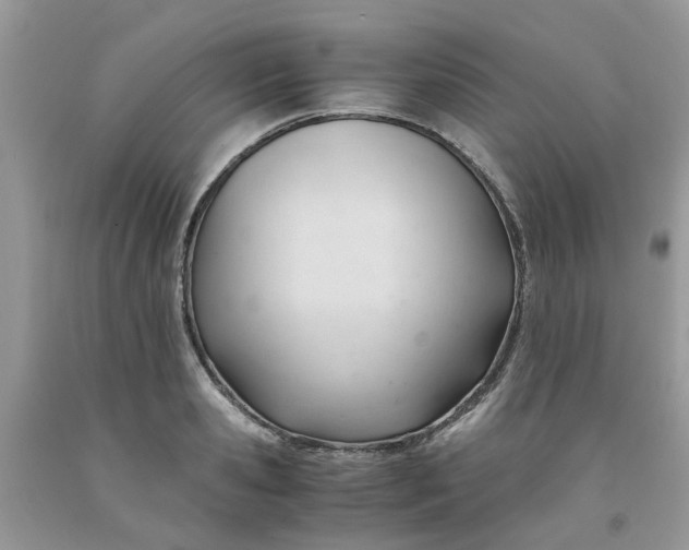 X0000091660941200709061017