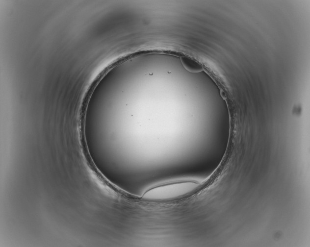 X0000091660942200709061017