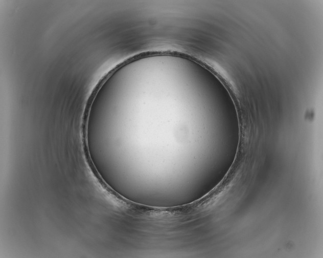 X0000091660943200709061017