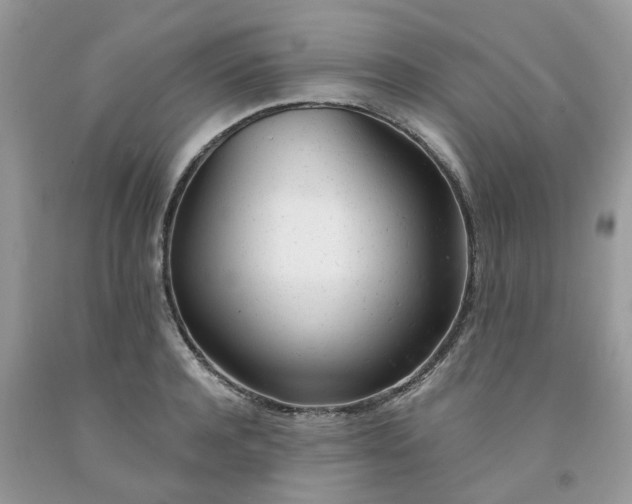 X0000091660944200709061017