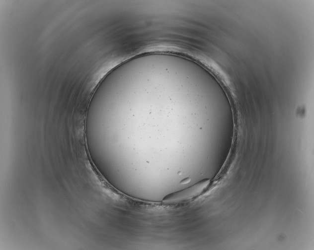 X0000091660945200709061017