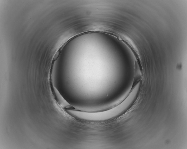 X0000091660946200709061017