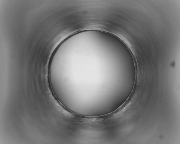 X0000091660949200709061017