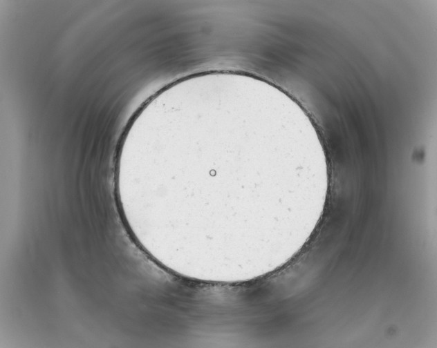 X0000091660950200709061017