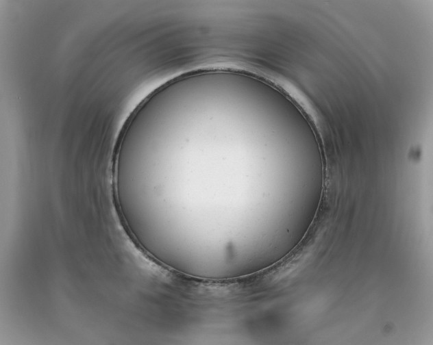 X0000091660951200709061017