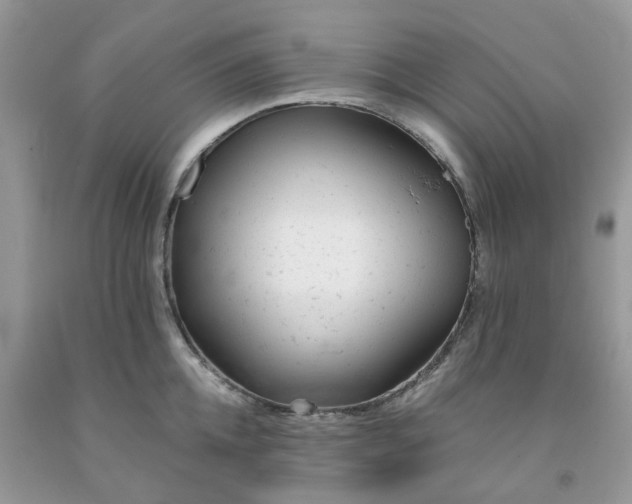 X0000091660952200709061017