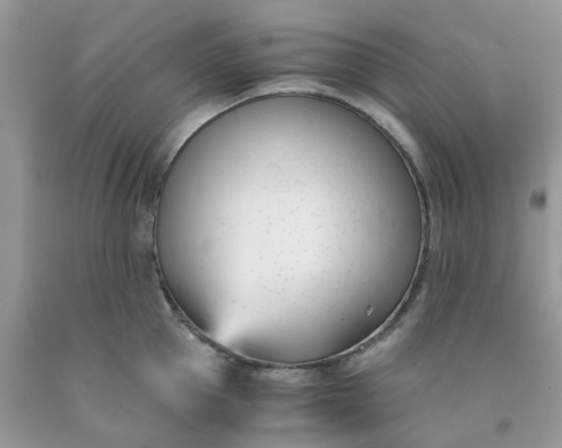 X0000091660953200709061017