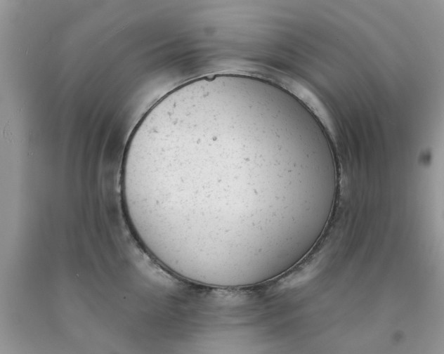 X0000091660954200709061017