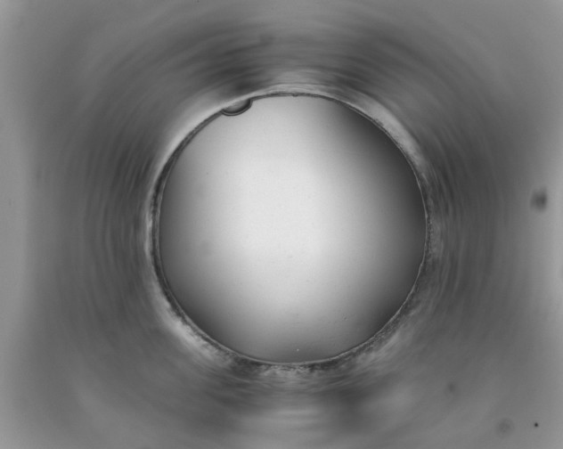 X0000091660955200709061017