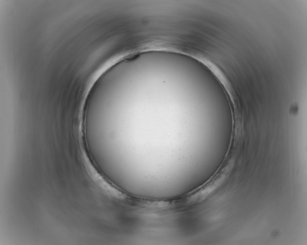 X0000091660957200709061018