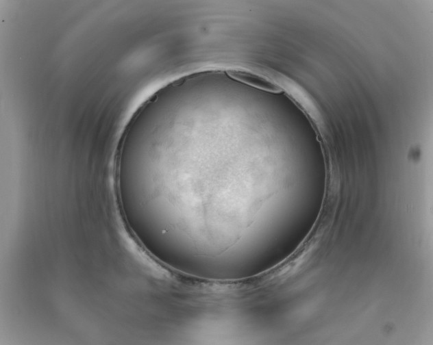 X0000091660958200709061018