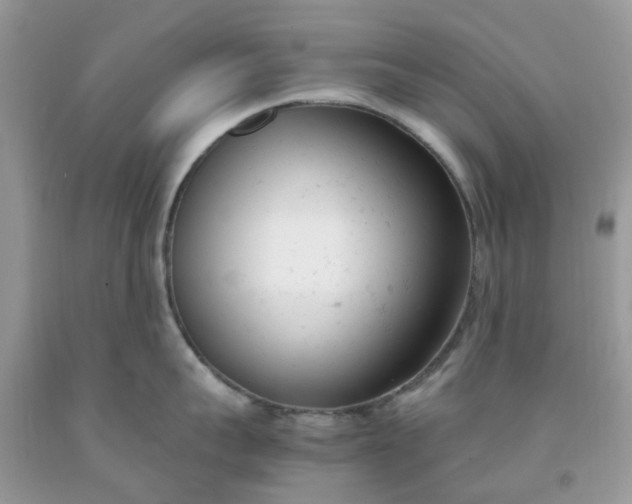 X0000091660959200709061018