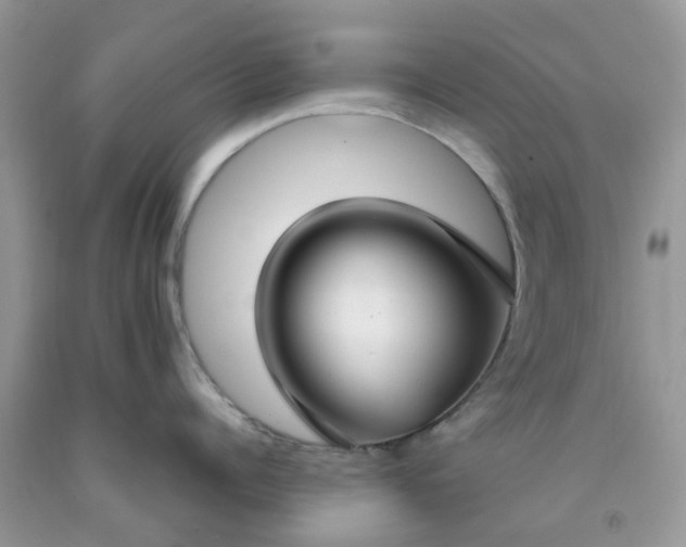 X0000091660960200709061018