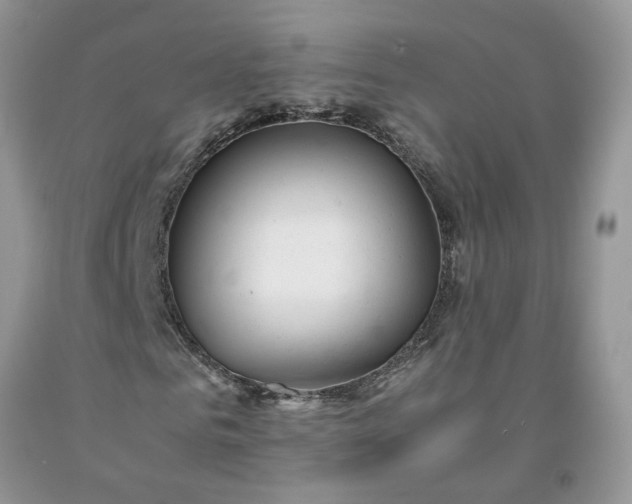 X0000091660961200709061017