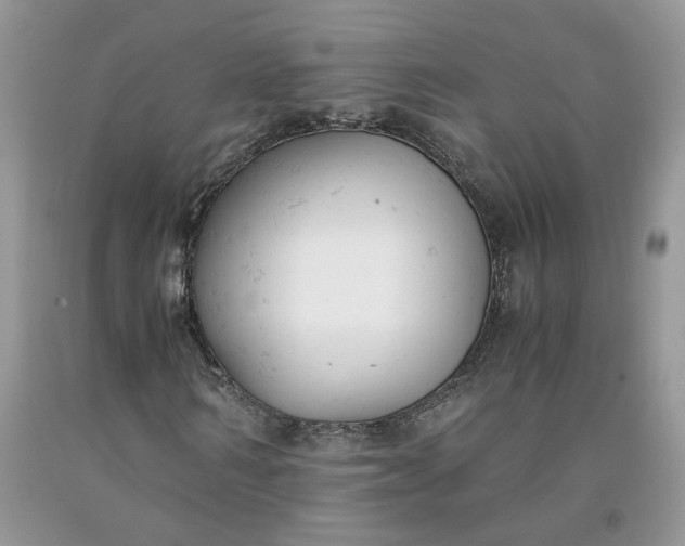 X0000091660962200709061017