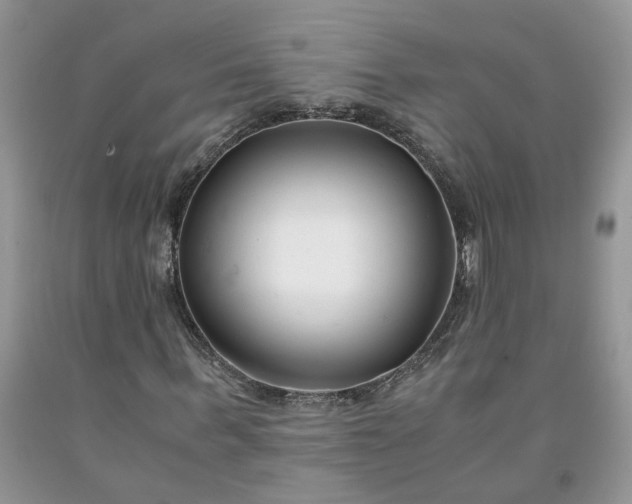 X0000091660963200709061017