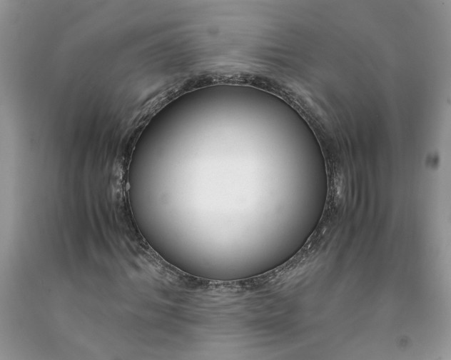 X0000091660964200709061017