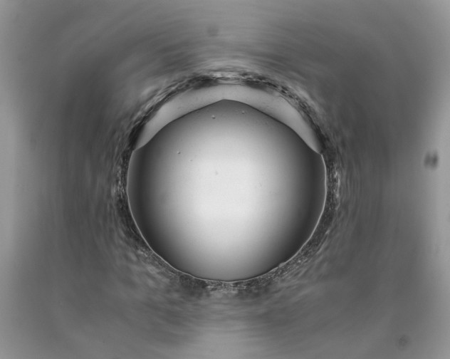 X0000091660965200709061017