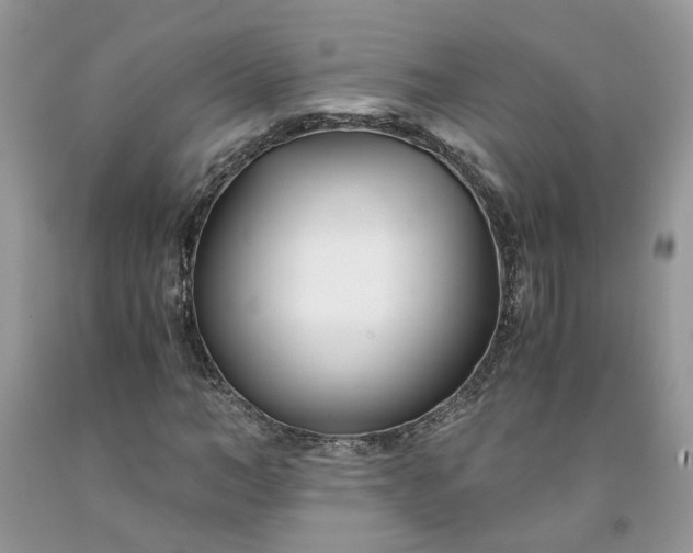 X0000091660966200709061017