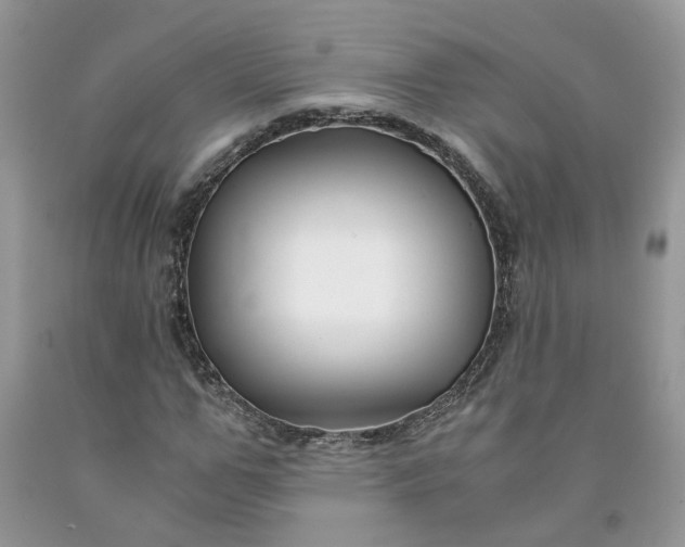 X0000091660967200709061017