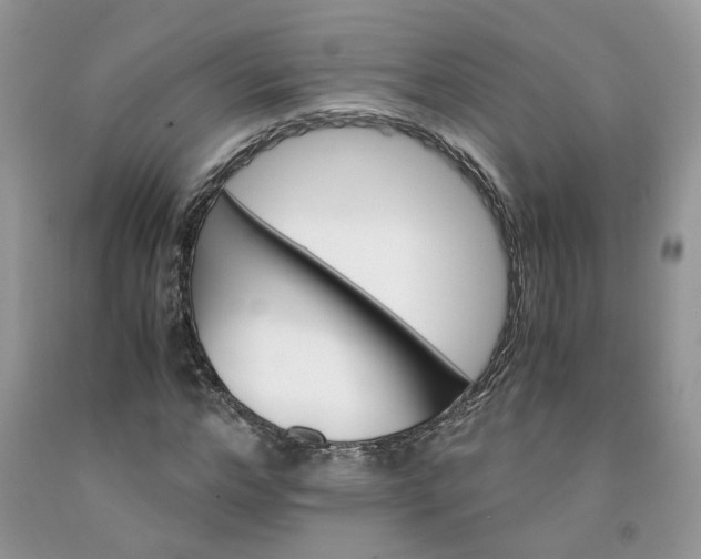 X0000091660968200709061017