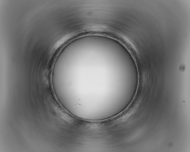 X0000091660970200709061017