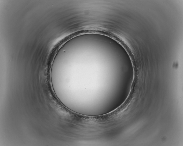 X0000091660971200709061017