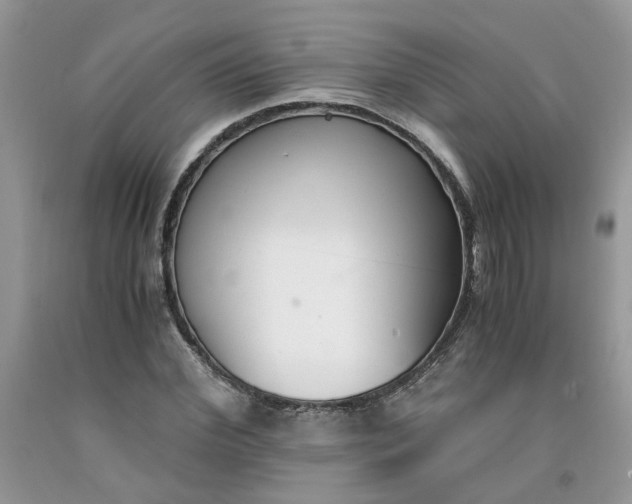 X0000091660972200709061017