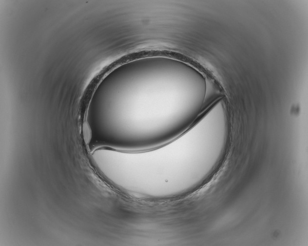 X0000091660973200709061017