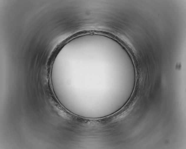 X0000091660974200709061017